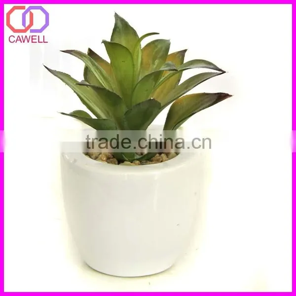 Wholesale Plastic Mini Artificial Succulent Plant in Pot for Garden Decoration photo-6