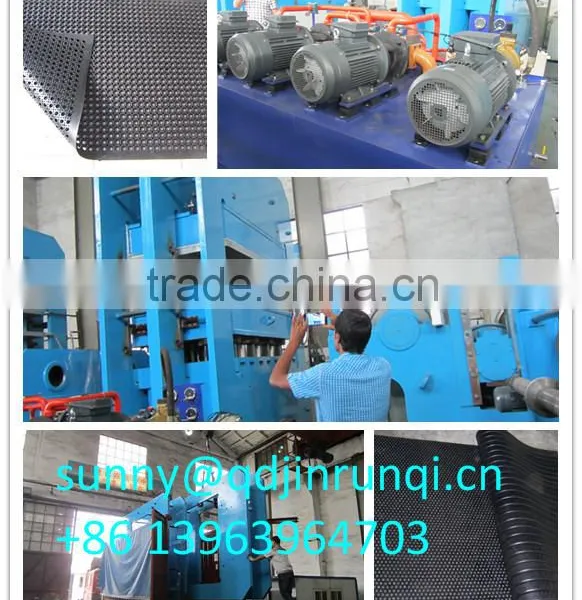 Rubber Mat Press Machine photo-3
