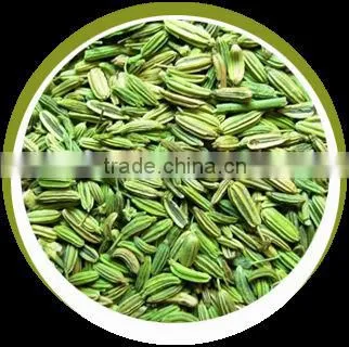 Fennel Seeds