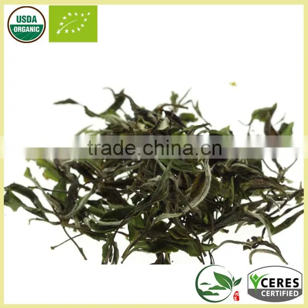Lightly Oxidized White Hair Silver Needle White Tea Best White Tea Brands photo-6
