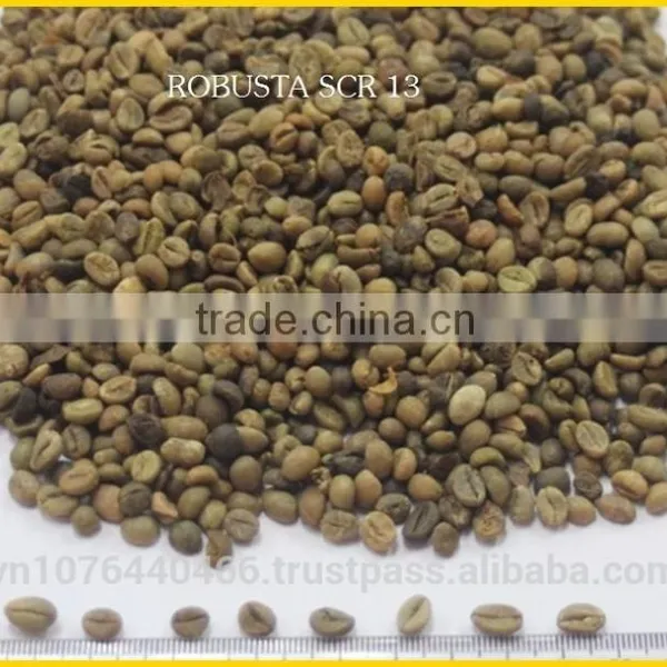 ROBUSTA COFFEE/ROBUSTA COFFEE FROM VIETNAM BEST PRICE SEASON 2016 photo-3