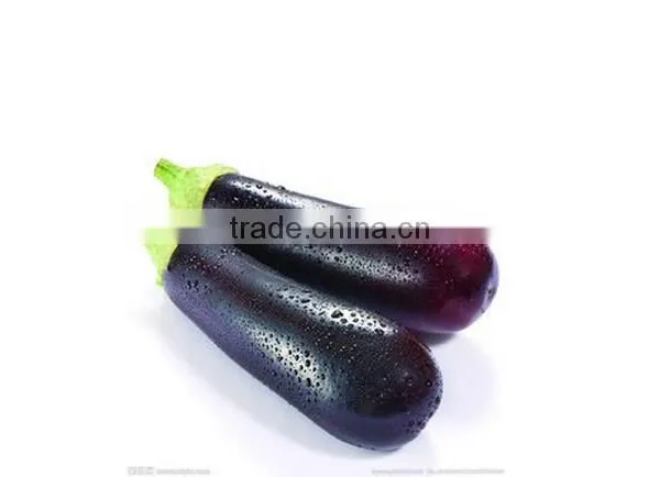 WA-1000 2016 Hot Sell Vegetable Washing Machine With High Efficiency photo-3