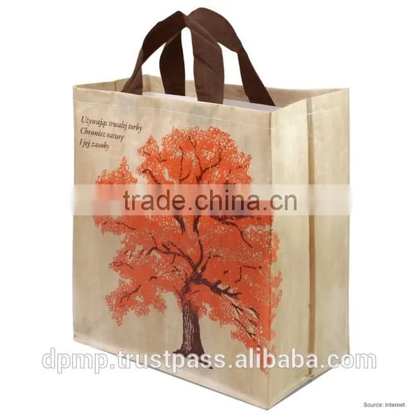 PP Woven Shopping Bag
