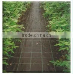 Agricultural Black Anti Grass Ground Cover Weed Net photo-3