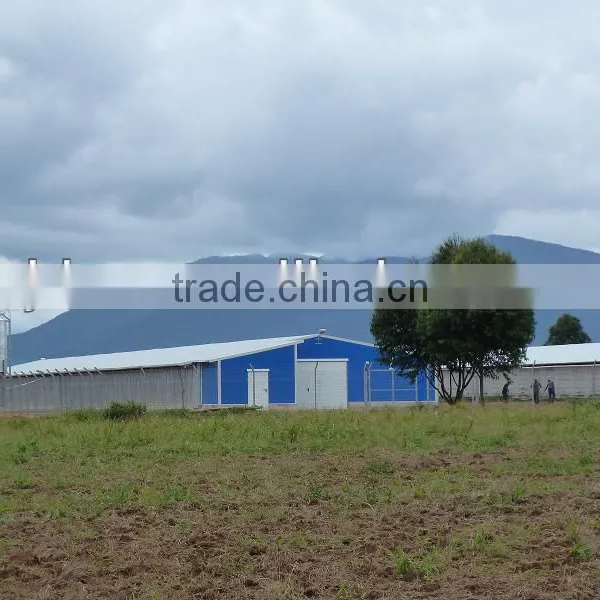Light Steel Chicken House photo-5