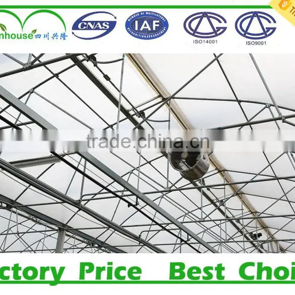 Commercial Wrought Iron Greenhouse Industrial for Sale photo-5
