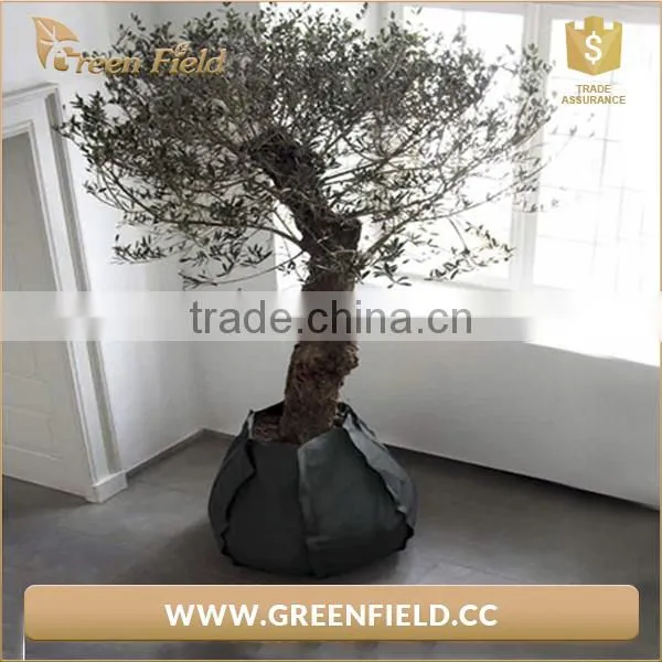2017 Eco-friendly Gardening Planter Bag Grow Bag photo-3