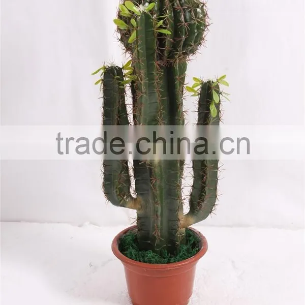 SJ3001106 Plastic Cactus Indoor Outdoor Potted Plant Tree photo-4
