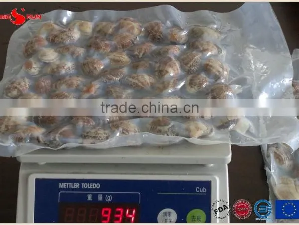 Vacuum -packed Short Necked Clam photo-2