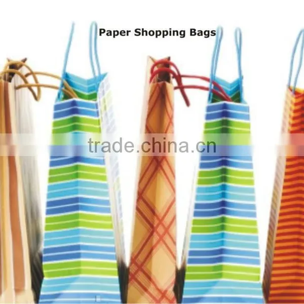 Shopping Paper Bags photo-2