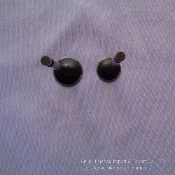 EF6600 Generator Intake and Exhaust Valve photo-2