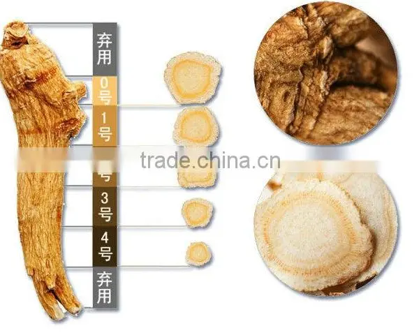 White Ginseng Slice From Changbaisha photo-5