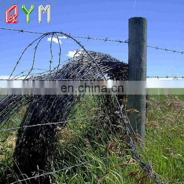 Low Price Galvanized Barbed Wire Price Per Roll photo-3
