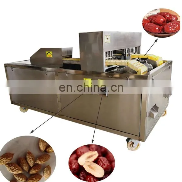 Date Longan Seed Removing Equipment Red Jujube Nuclear Pitting Machine. photo-3