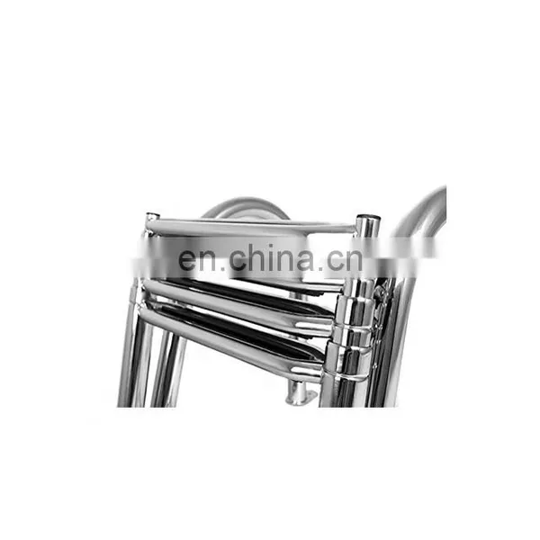 OEM Anti-rust 2 Steps Swimming Pool Ladder photo-3