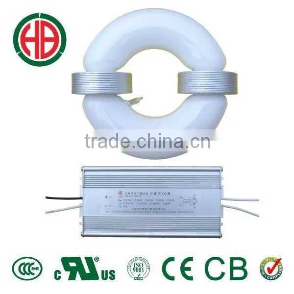 HB 40w 50w 60w 80w 100w R Induction Lamp 12v 24v Solar Lamp