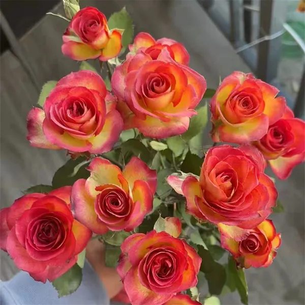 Dried Flower Production With Silica Gel Sand Indicator Silica Gel Flower Desiccant photo-3