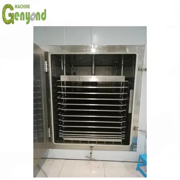 Hot Sale Energy Conservation Food Vacuum Drying Machine for Foodstuff Industry