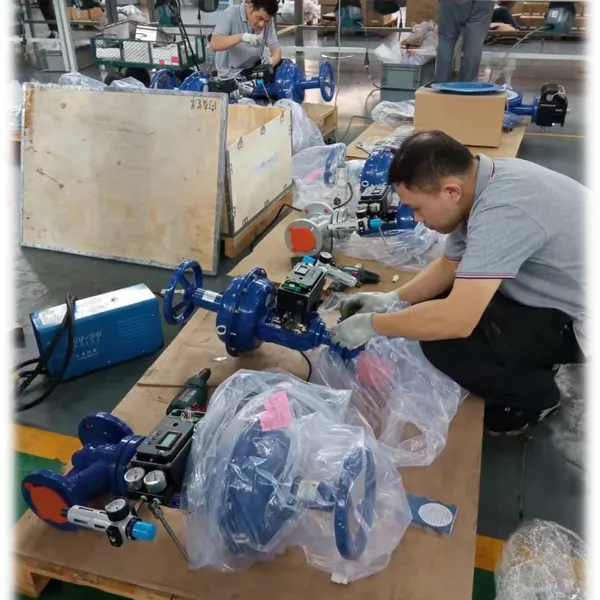 Cast Iron Globe Type Regulating Valve for Steam Flow Control photo-4