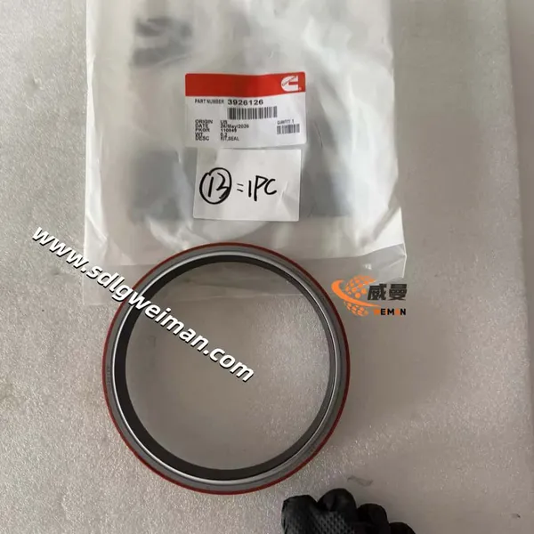 Crankshaft Rear Oil Seal Kit 3926126 for Cummins Engine Parts