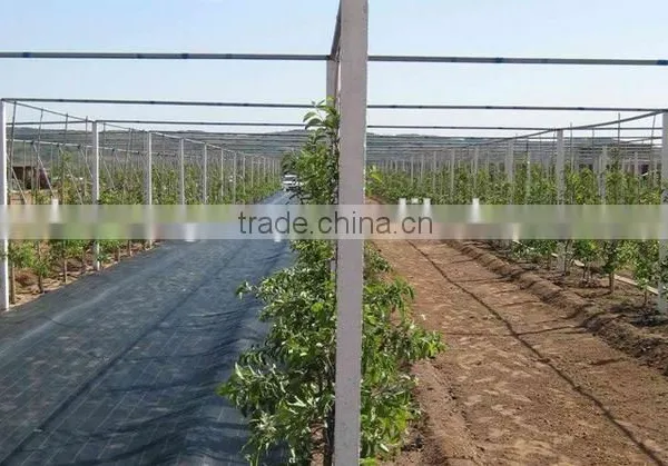 China Nonwoven Anti Weed Mat photo-6