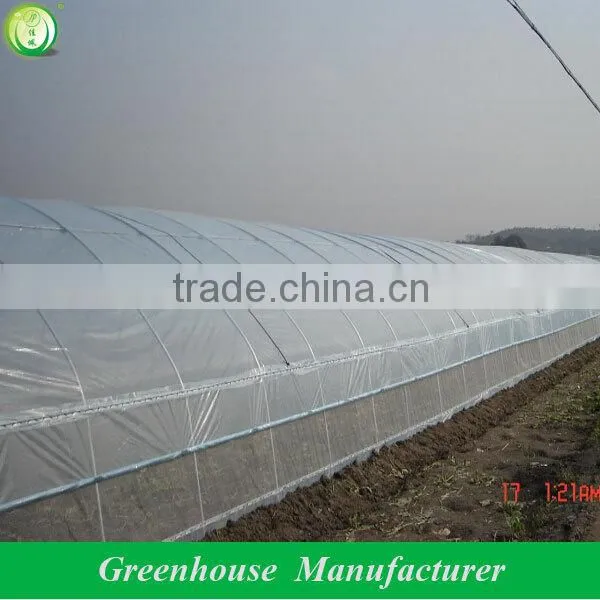 Galvanized Steel Pipe Economical Tunnel Greenhouse photo-3