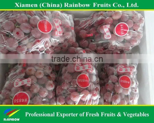 Global Grpaes/fresh Grapes Price