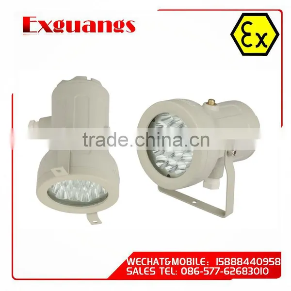 BAK51-Explosion Proof Inspection Hole LED Lamp(Delay Time Function)