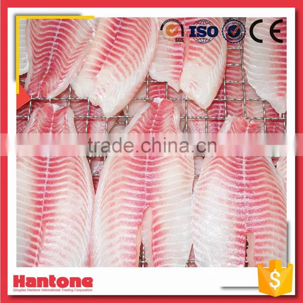 IQF Frozen Tilapia Fillet Wholesale photo-3