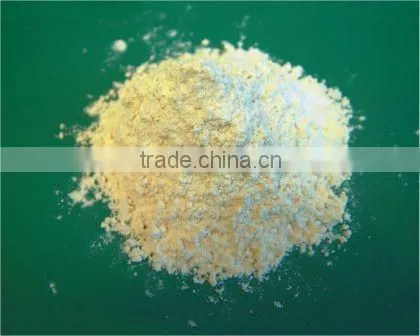 Isolated Soy Protein Powder