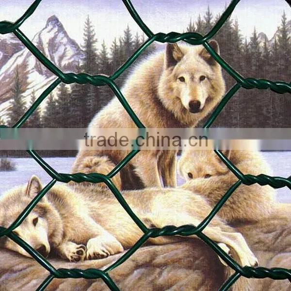 Best Quality Chicken Wire Cage Mesh 1/2-4 Inch photo-4