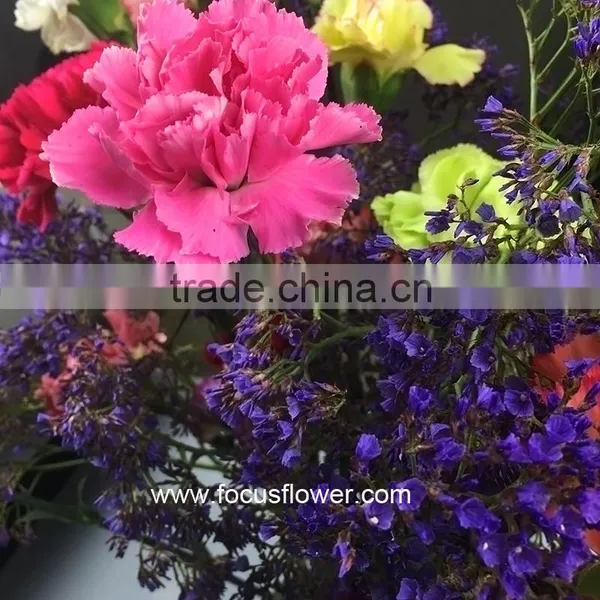 Fresh Cut Flower Buyer Purple Carnation Flower Arrangement From Kunming Superbly Carnation Flowers photo-3