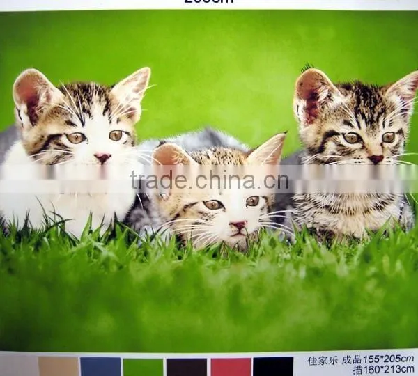 100% Polyester Material Printing Coral Fleece Blanket photo-6