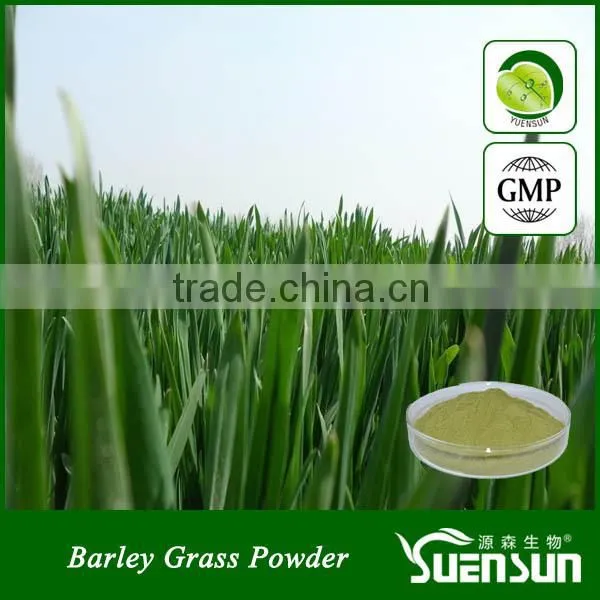 Herb Extract Barley Grass Extract Powder