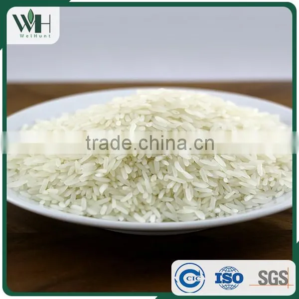 2016 Cambodian Good Price 4.5% Broken Jasmine Rice photo-3