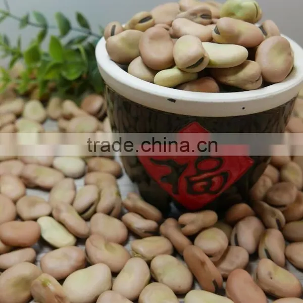 BROAD BEANS photo-4