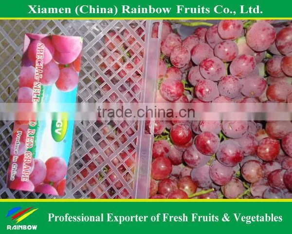 Chinese Fresh Red Grape