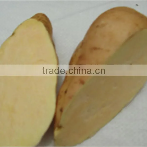 Fresh Sweet Potato/purple Sweet Potato/yellow Sweet Potato photo-5
