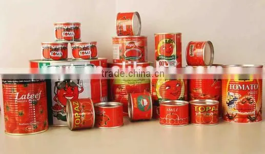 Aseptic 28-30% Tomato Paste photo-5