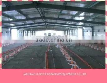 Hot Sale Agricultural Automatic Sheed Poultry Equipment photo-4