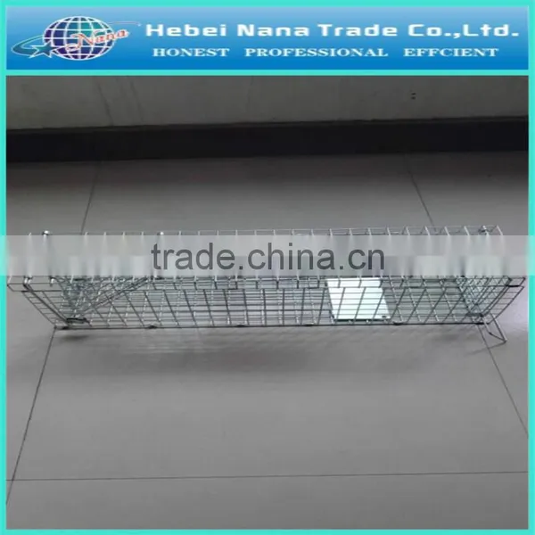 Hot Sale Wire Animal Trap Cage / Welded Wire Mesh Trap / Live Animal Trap