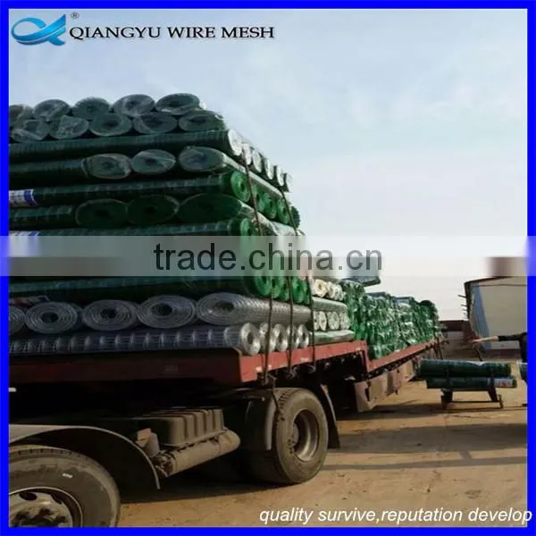 Pvc Coated Galvanized Welded Wire Mesh/ Pvc Coated Welded Wire Mesh Panel photo-4
