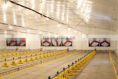 Newly-developed Farm Automatic Chicken Feeding System photo-6