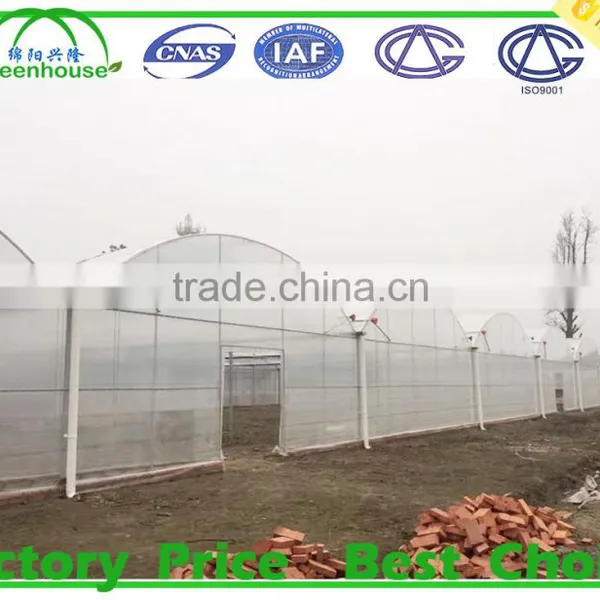 Commercial Climate Control Strawberry Greenhouse With Thermal System photo-4
