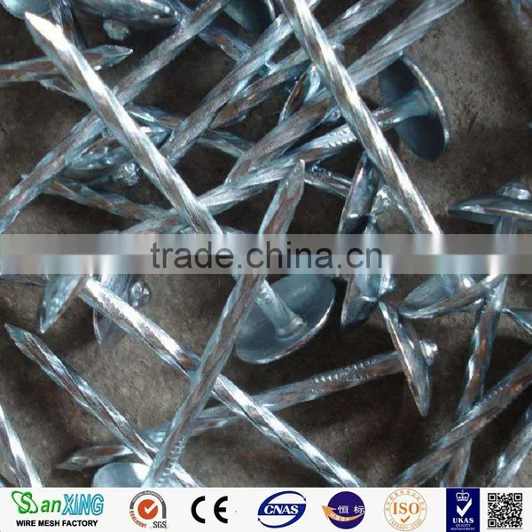 Q195 Umbrella Head Twist Shank Roofing Nails photo-4