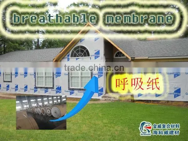 Waterproof Membrane for Roof and Wall photo-2