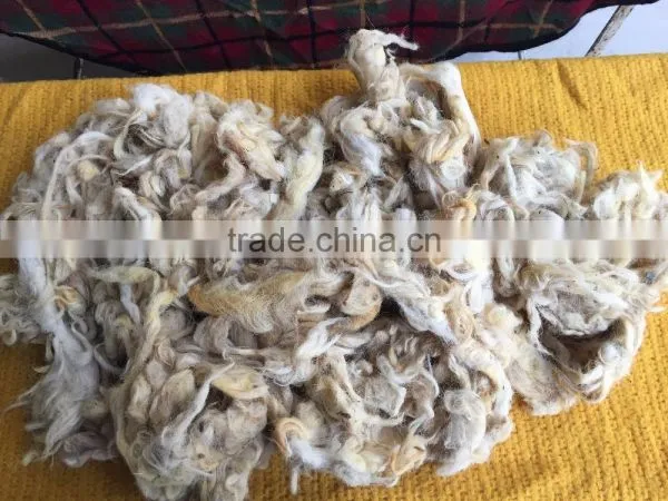 Sheep Wool / Raw Wool / Animal Hair ( Washed ) photo-2