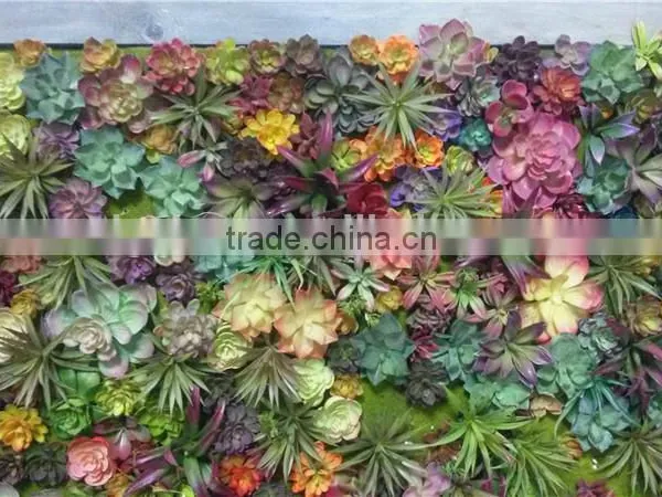 Home and Outdoor Decoration Synthetic Cheap Artificial Vertical Green Grass Succulent Wall E08 04C44 photo-3