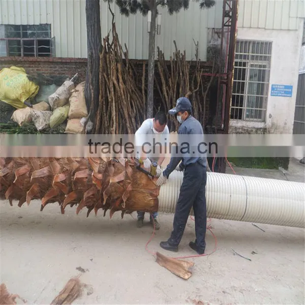 SJ2017200010 Hot Sale Fake Plastic Washington Palm Tree for Outdoor photo-3