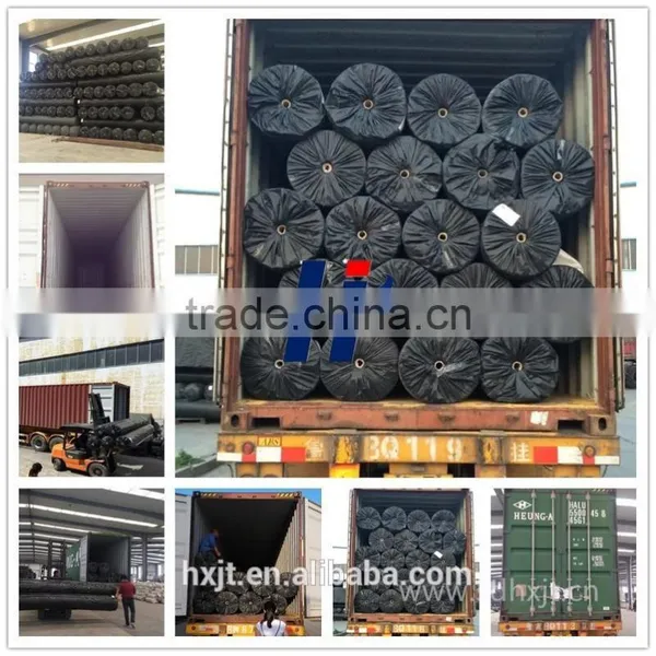 Geosynthetic Product Breeding Fish Farming Pool Lotus Pond HDPE Geomembrane/ Black Plastic Sheeting photo-3